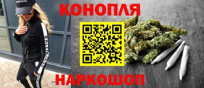 сатива Вязьма